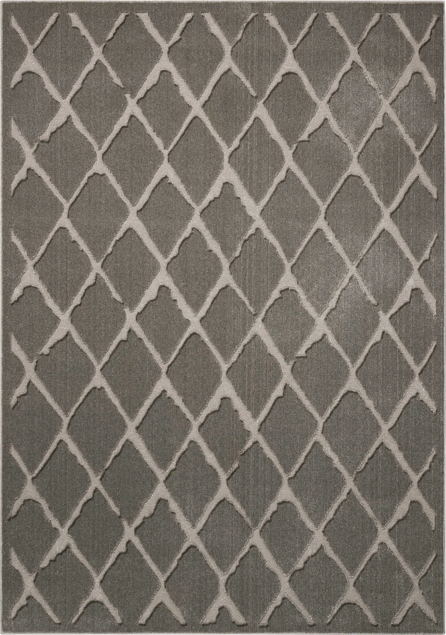 Aerilyn Gray 5'3 x 7'3 Rug