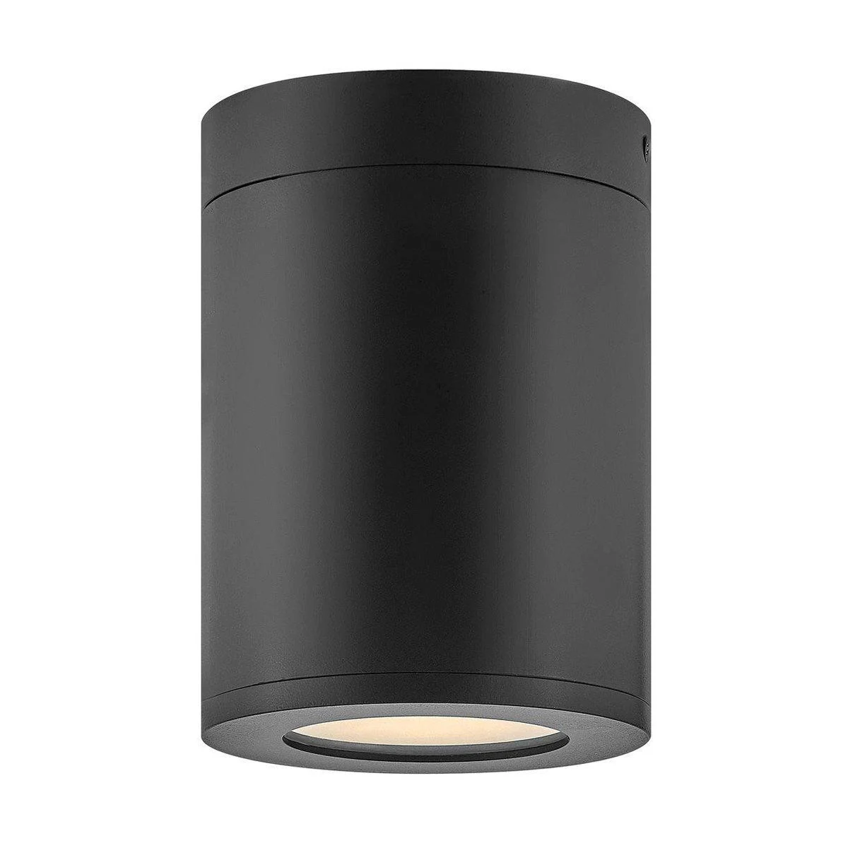 Alistair Outdoor Ceiling Light