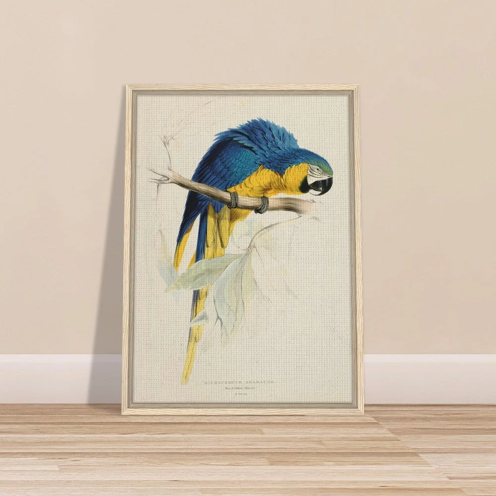 Blue & Yellow Macaw by Edward Lear (1812-1888) - Framed Canvas Print