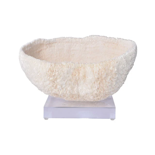 Bowl Coral 10 12 Inch On Acrylic Base By Legends Of Asia