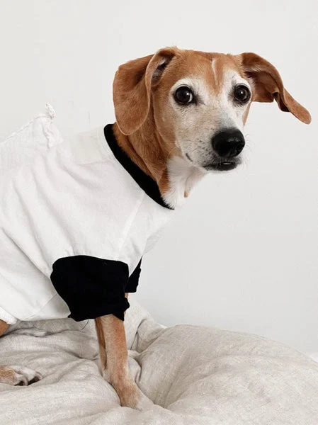 Classique Baseball Tee (Only Dog Sizes Left)