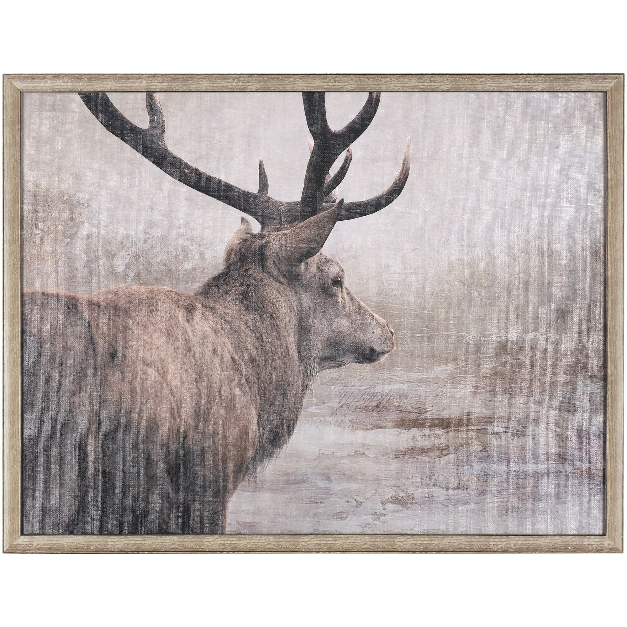 Deer Wall Art
