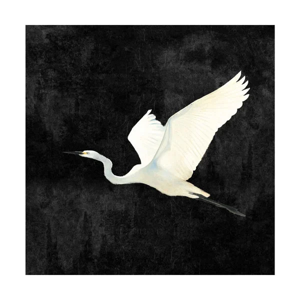 Egret II 40x40" Mixed Media Wrap | Charcoal & Alabaster Art | Elite Maison