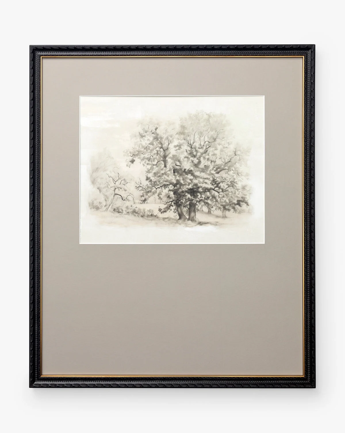 Heathland Oak