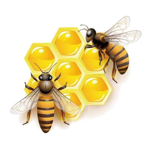 Honey Bee and Bee Happy Stickers for Car or Anywhere!