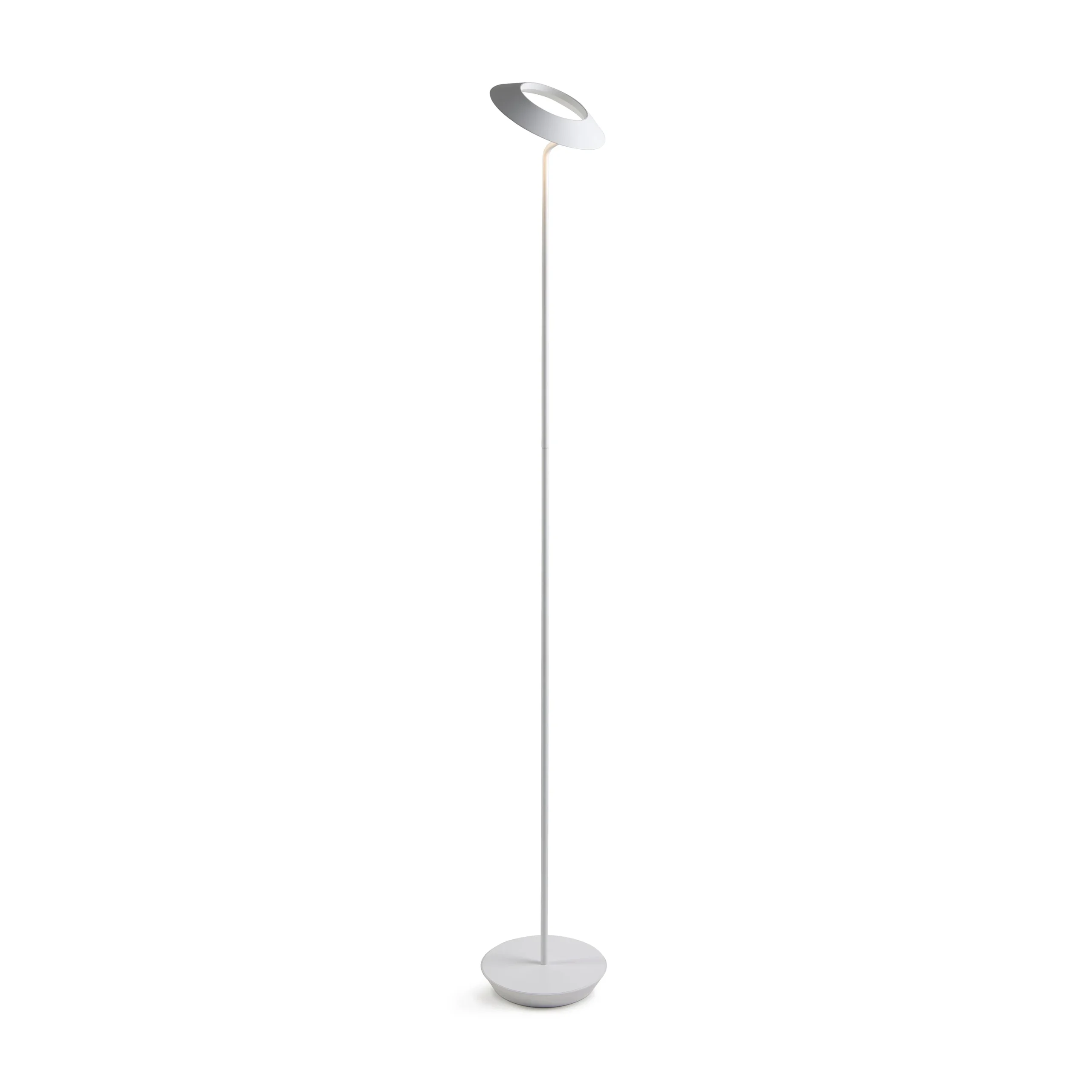 KonceptRoyyo Floor Lamp
