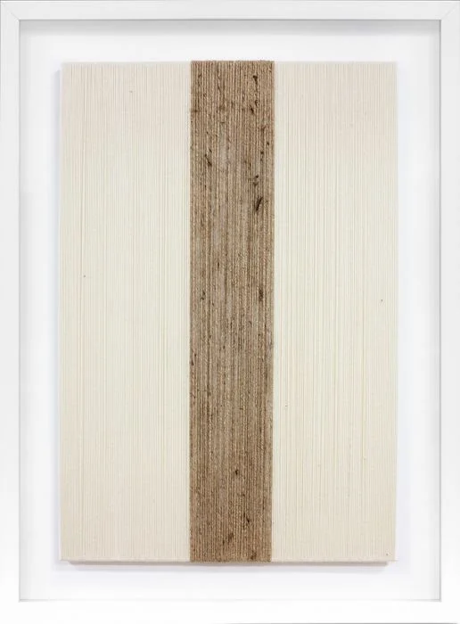 Natural Curiosities Color Shannon Gotland Collection Art