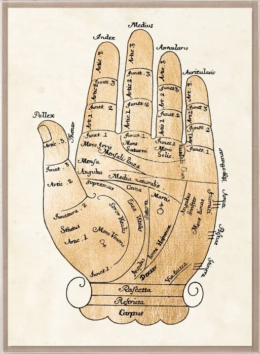 Natural Curiosities Gallicus Hands Gold Leaf Art