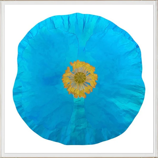 Natural Curiosities Poppy Fields Art