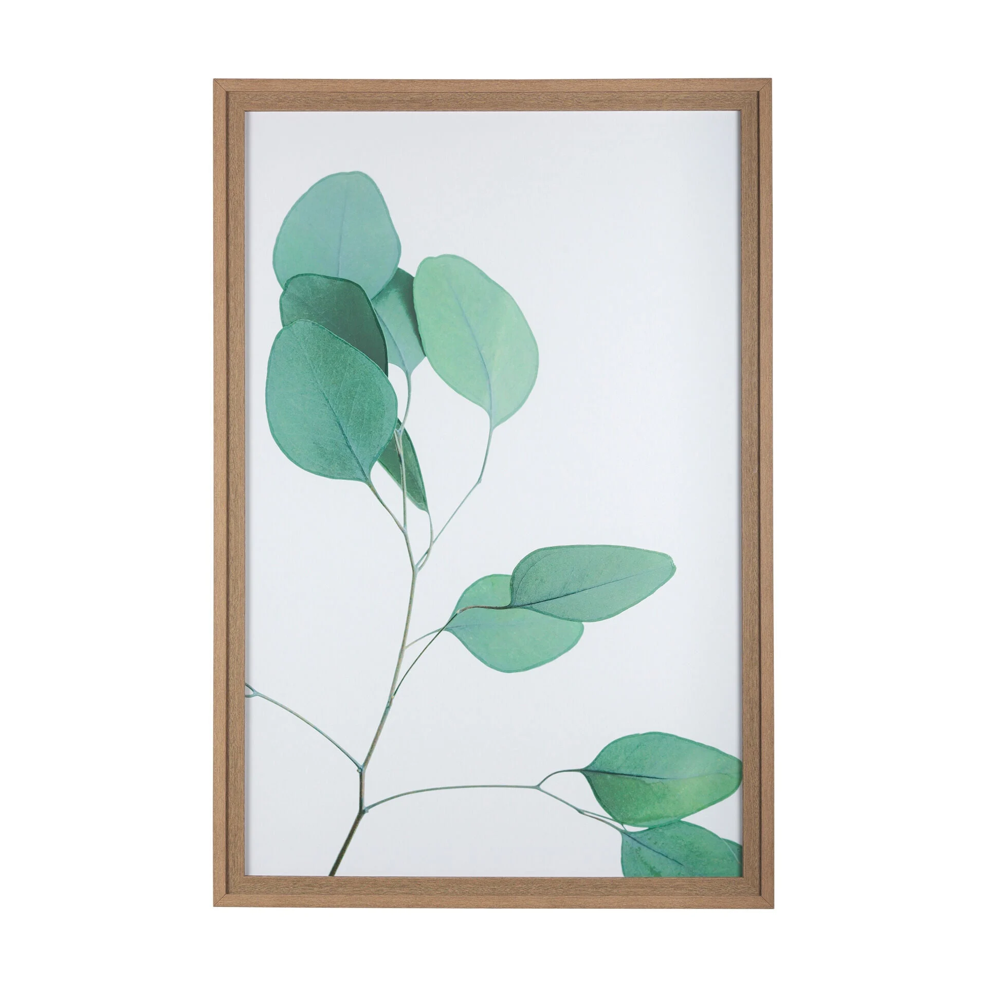 Nature Calm Lull Wall Art