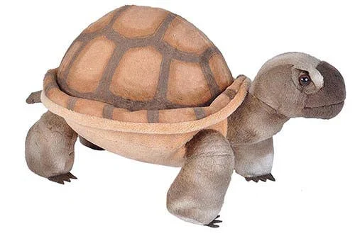 Realistic Plush Tortoise 12” Cuddlekins by Wild Republic