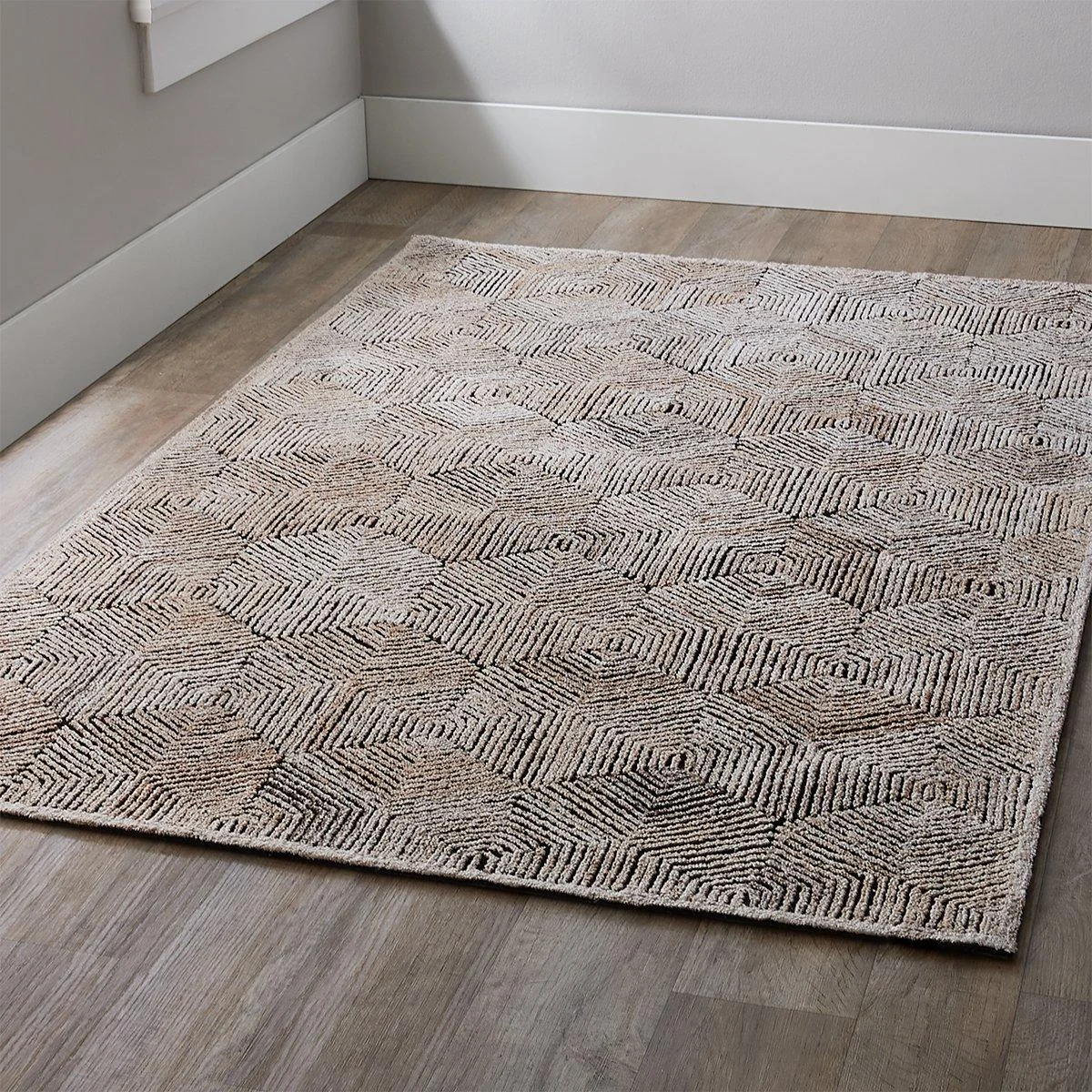 Ricci Rug