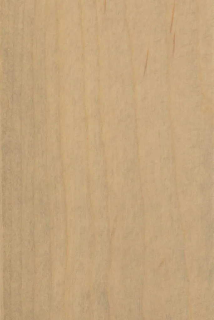 Seashell on Brown Maple Wood Stain Sample