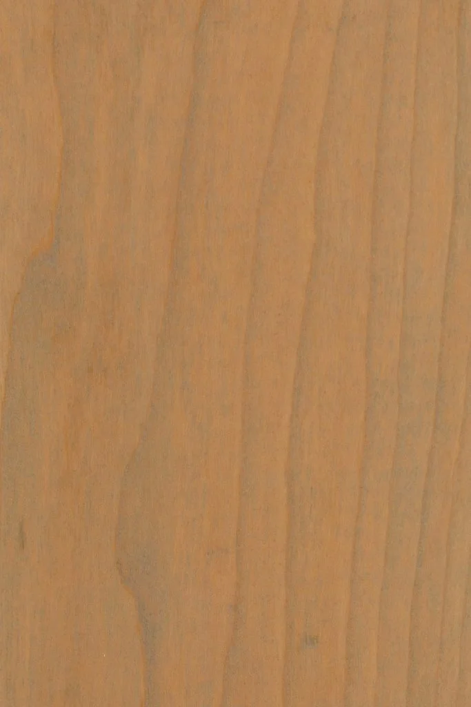 Seashell on Cherry Wood Stain Sample