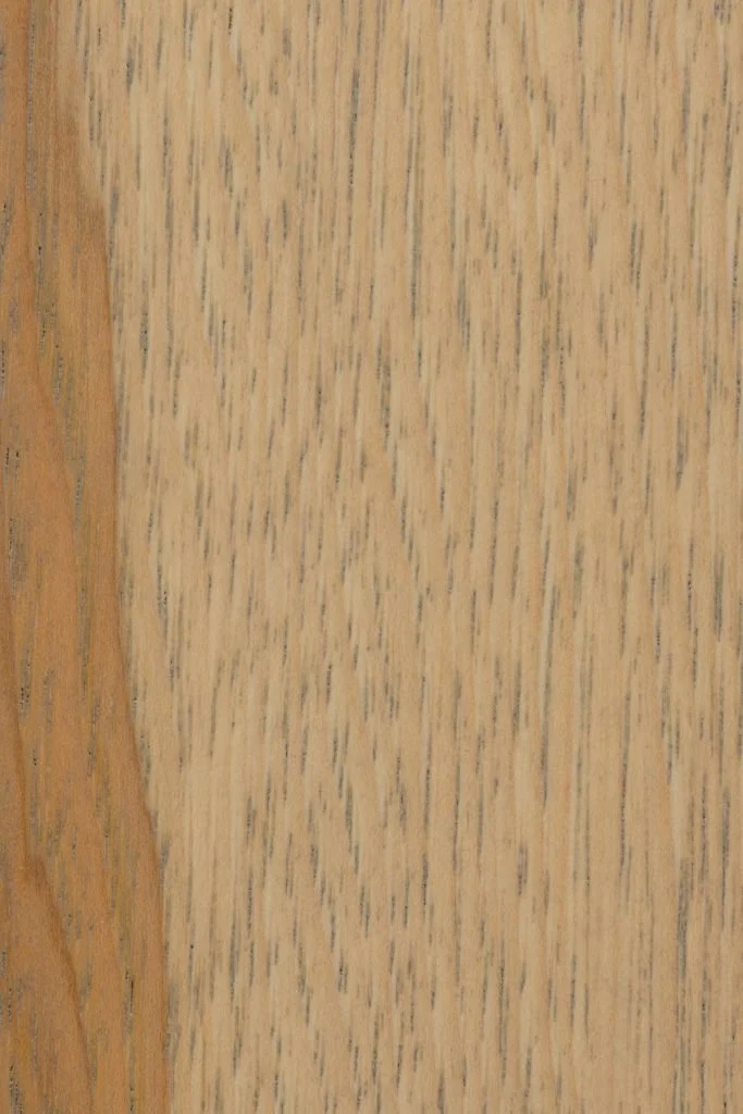 Seashell on Hickory Wood Sample