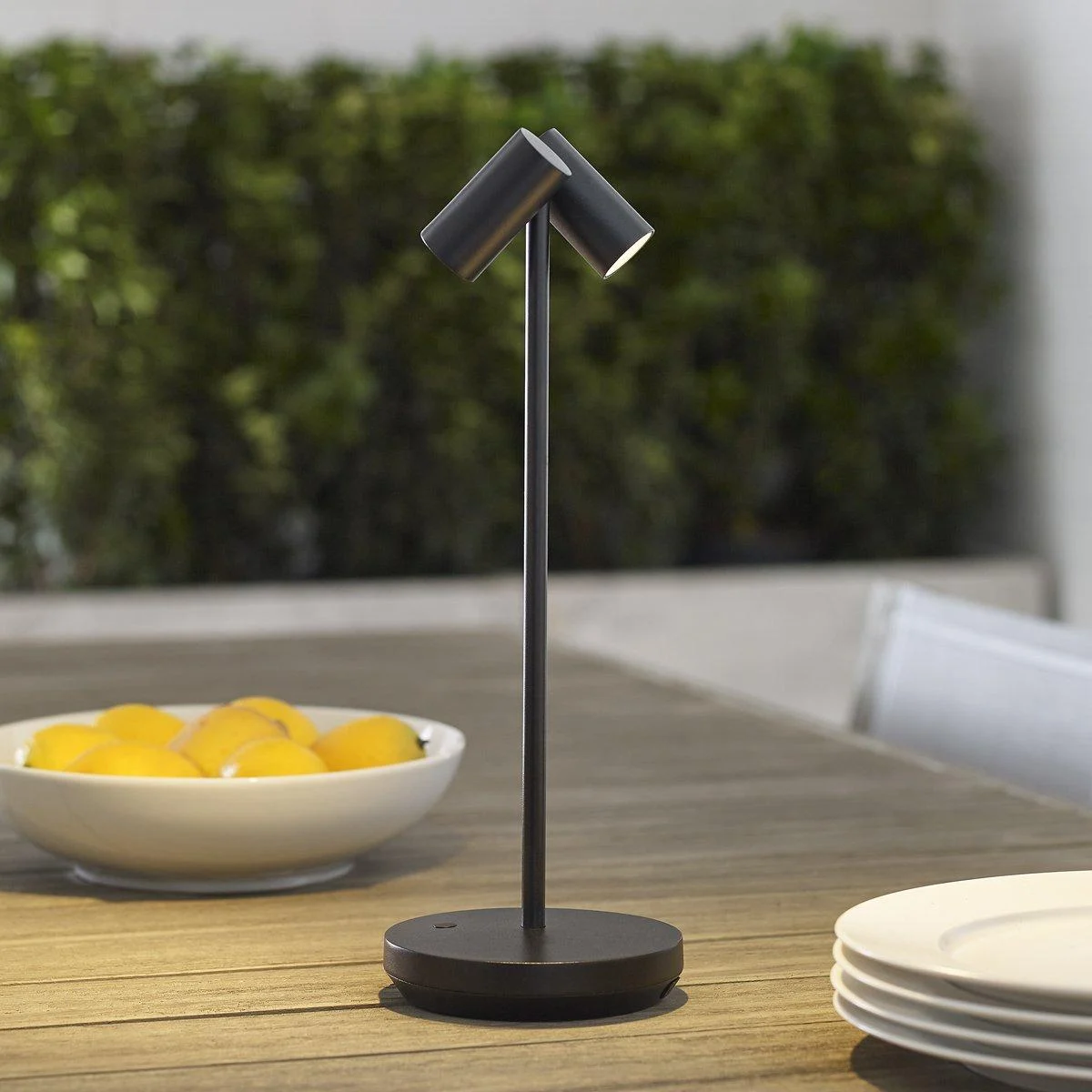 Thurston Cordless LED Indoor/Outdoor Table Lamp