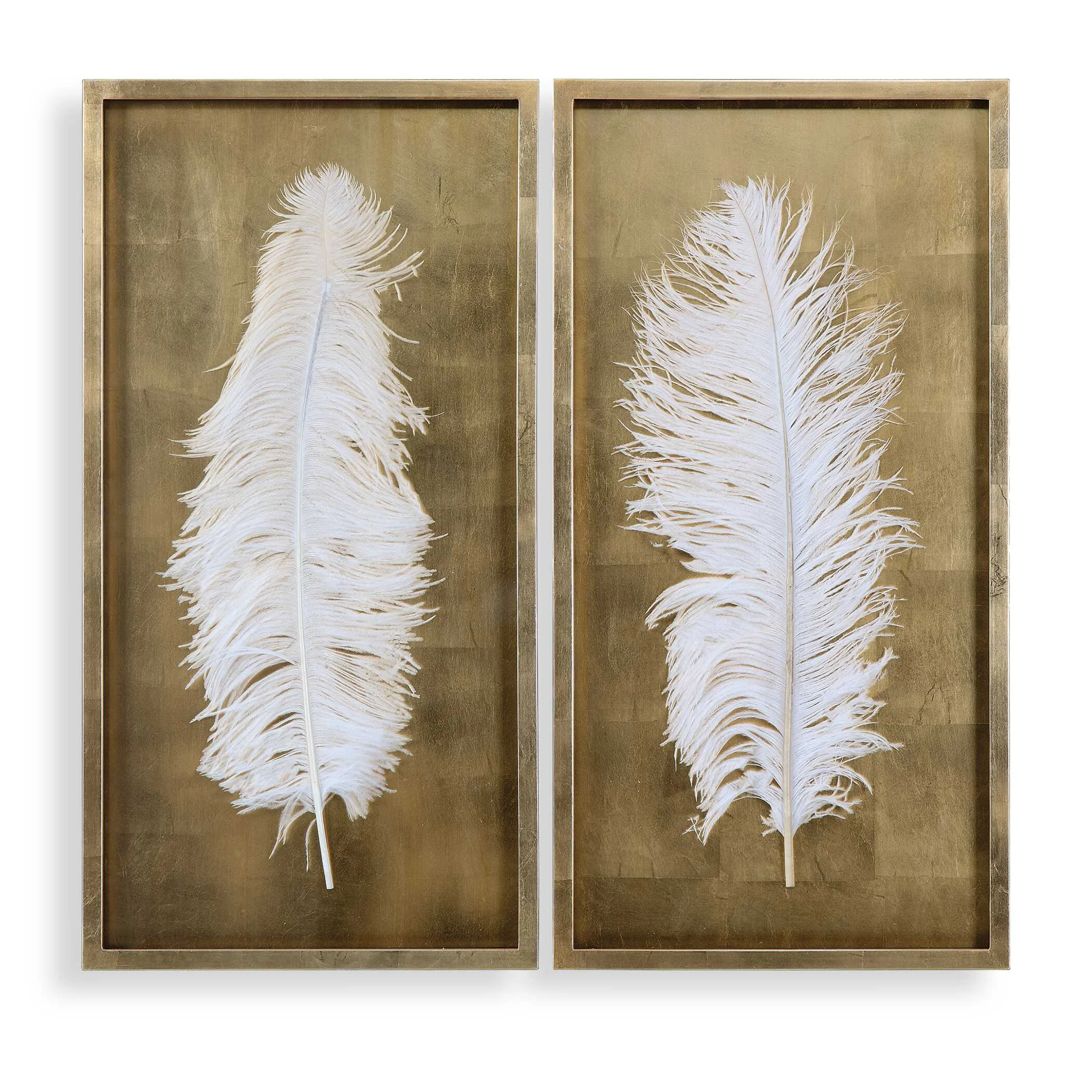 White Feathers Gold Shadow Box S/2
